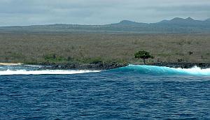 Lonesome wave and tree at Las Palmas in the Galapagos Islands.